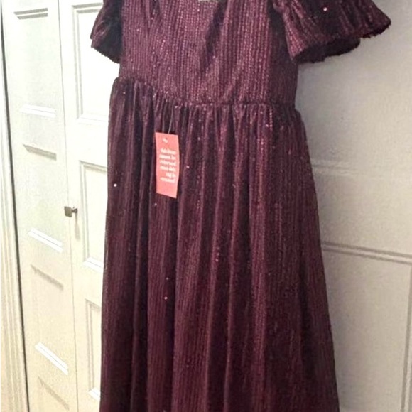 NWT Ivy city co. Clara Dress Swifty Country Fairycore NYE - Picture 4 of 4